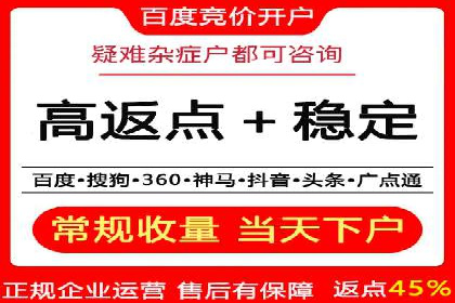 某电商平台的SEM推广实战经验